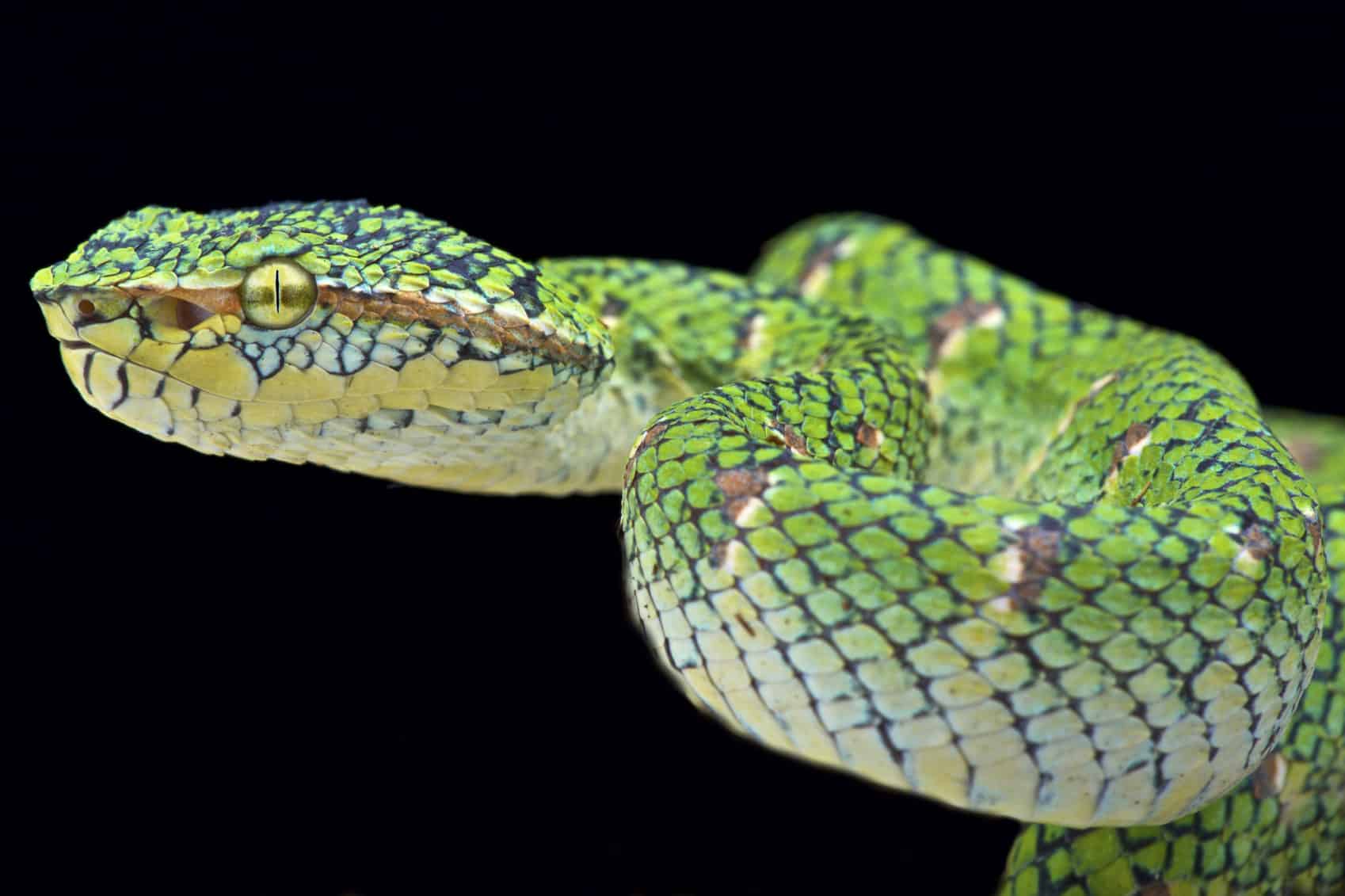 Bizarre beauty rituelen uit verre landen