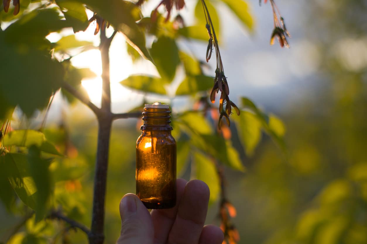 Ontdek onze nieuwe cursus aromatherapie!