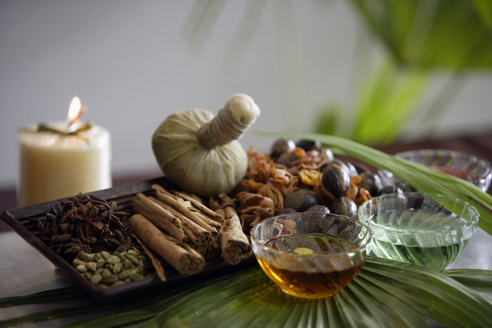 Nieuw: Online Cursus Ayurveda Basiskennis