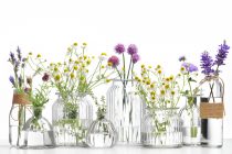 Ontdek wat de cursus herborist van Wellness Academie je te bieden heeft.