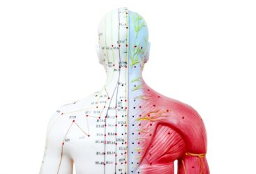 Wellness Academie legt uit wat meridianen zijn.