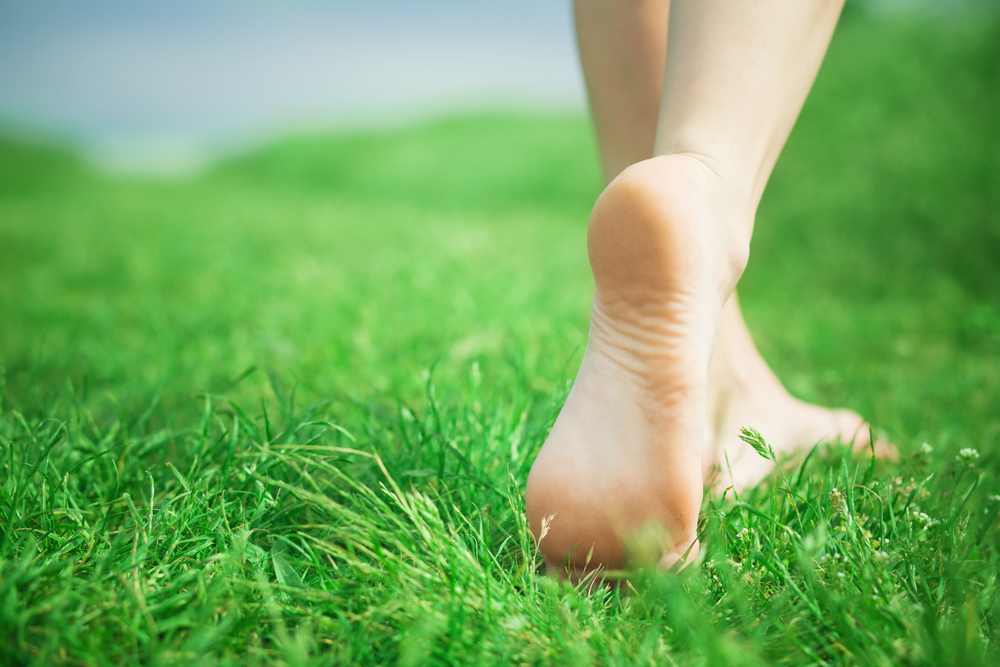 Onze pedicure opleiding wordt landelijk erkend door ProVoet!